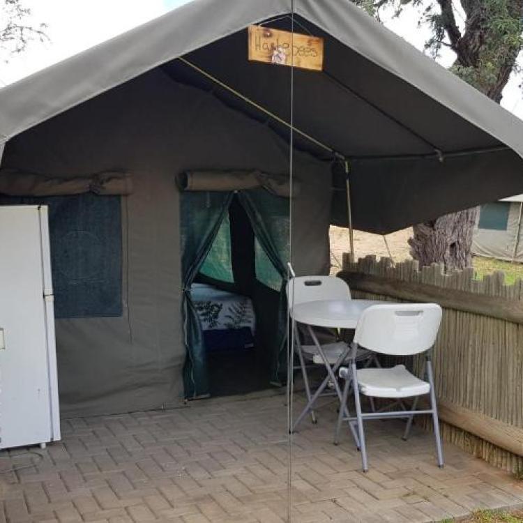Hartebees Tent